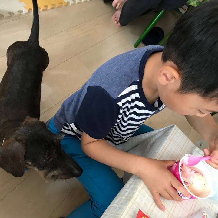 4c81f8ff 11ab 48bf 8cbf 9114d584faf0 1525326657228