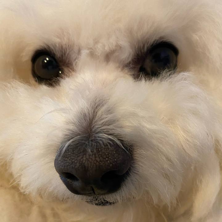 4c81ff76 3c21 4715 a564 2fcea7caabb7 1652424790084