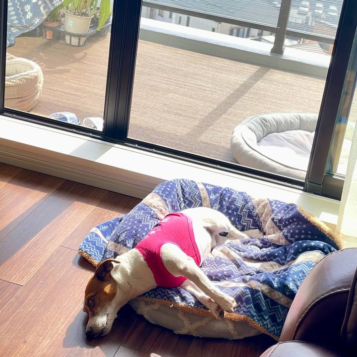 4c823e44 32d8 4657 9f2c 8f78858efd78 1745283775699