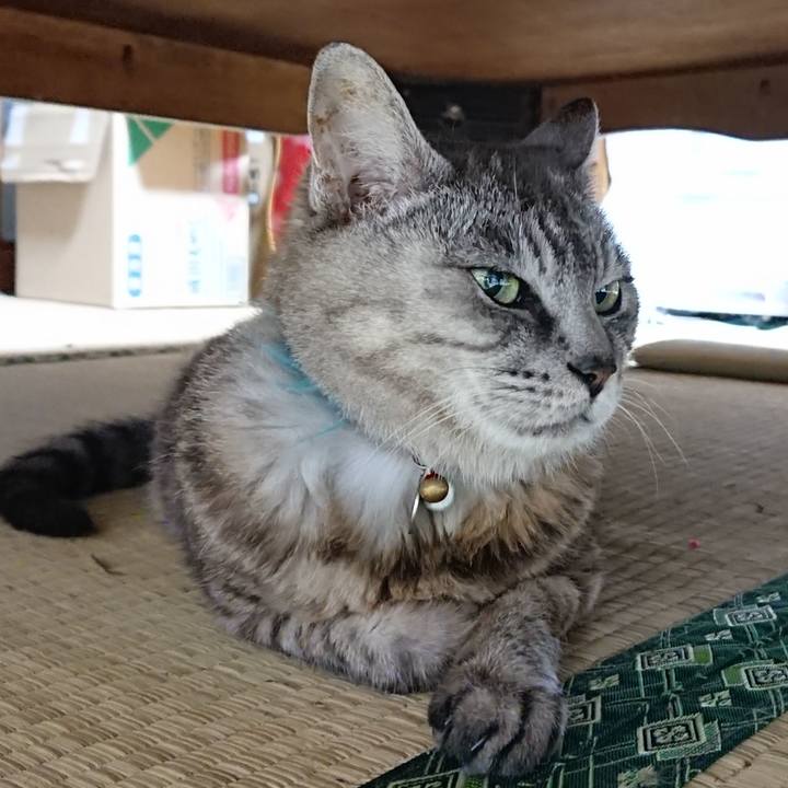 4c8240b1 4f4e 480d b433 82d3dcedd334 1567246193085