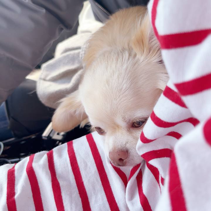 4c8263b0 8778 461f a06e cdc63ec16870 1742462178890