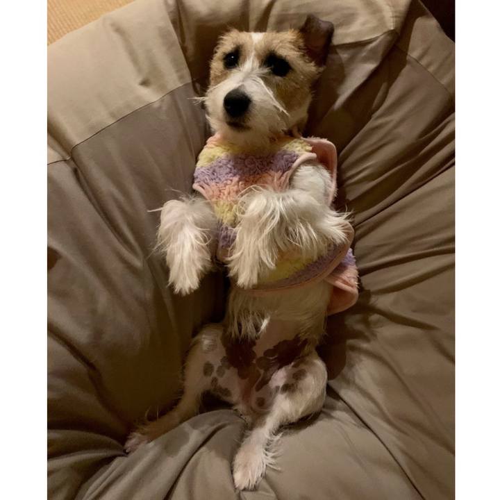 4c8269ff f7ec 45da 80e2 89eb36c6c1de 1610976093566