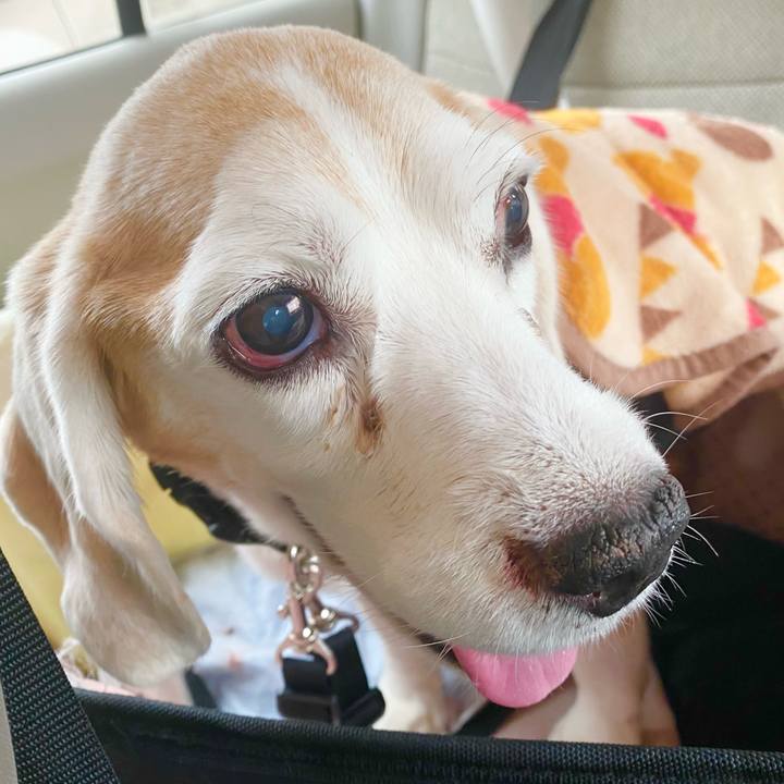 4c826a9f 2b0c 4d07 ae9b 5e879dd47285 1669644369549