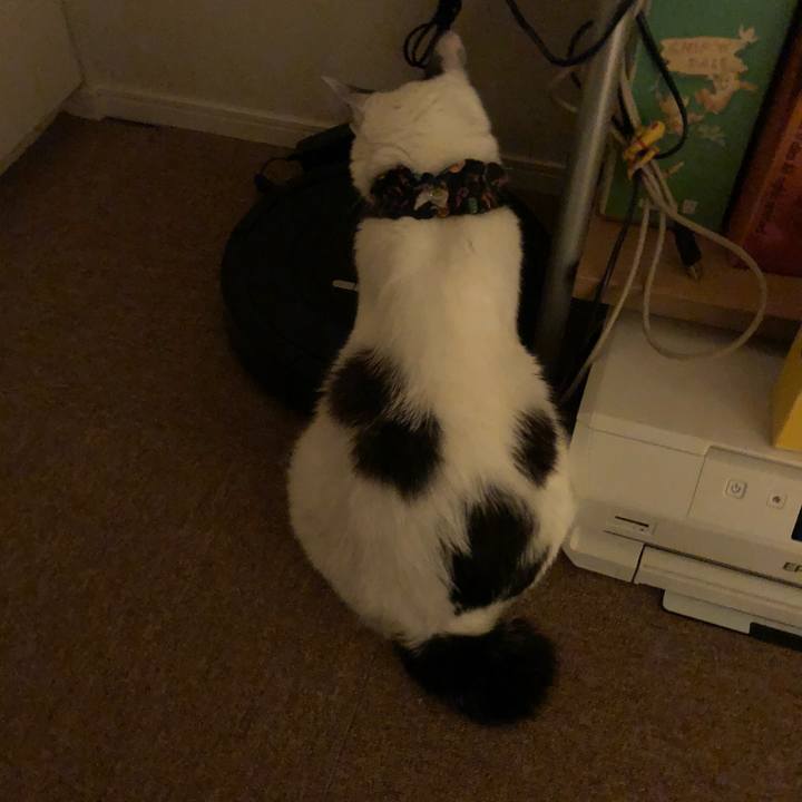 4c826acf 8942 4770 875f d02ac984c14b 1531318986401