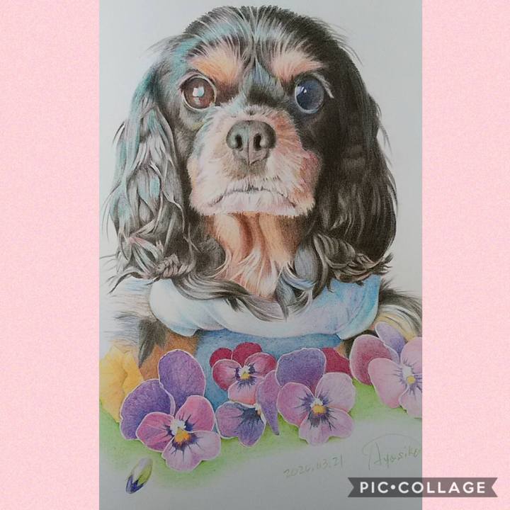 4c82a90b b7b3 4313 a3b9 599ec3619a0a 1586948456833