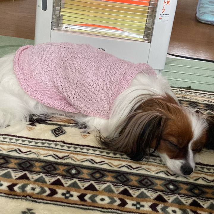 4c82b0d2 4d77 41a8 aedc 192ffa38541e 1634687942944