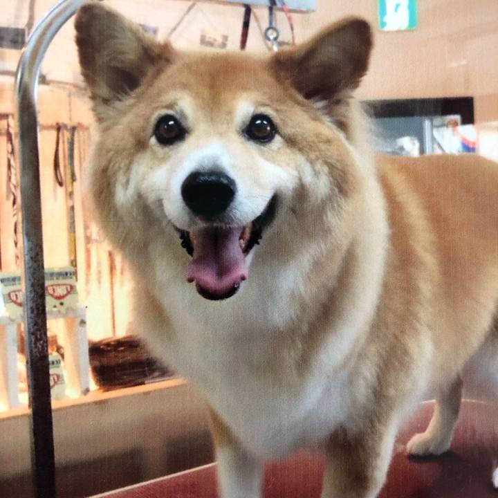 4c82e4dd 1d42 4b31 962a 45e0117c2828 1561551330487