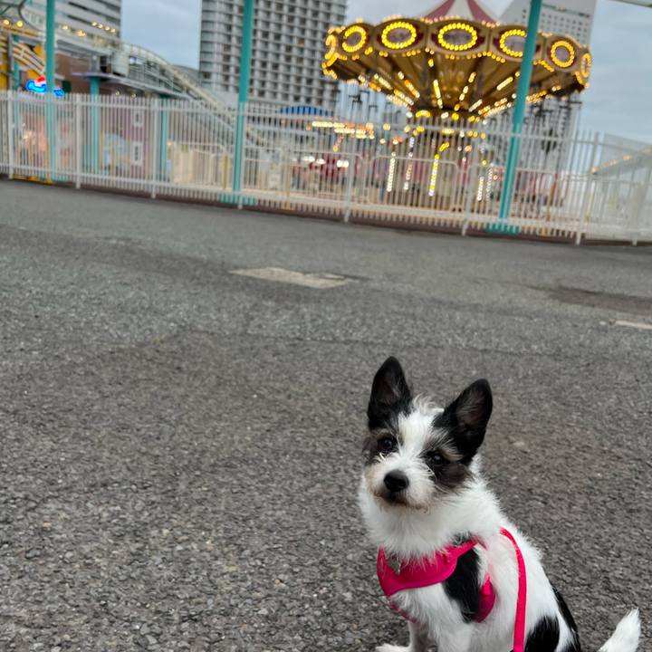 4c82fa20 8b78 4436 a407 68dafea6c07c 1659784141770