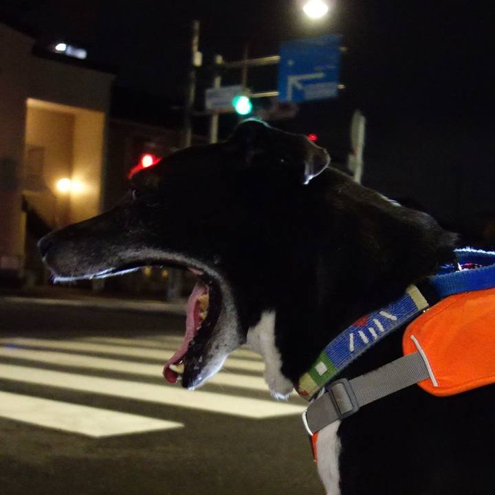 4c835db8 dc09 481f b4b1 2ce77f567672 1728471413925