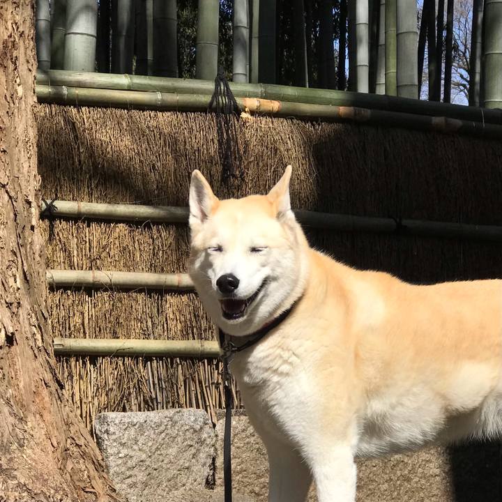 4c835fe1 d8d0 461f ab11 923f433c1b0d 1646782151303