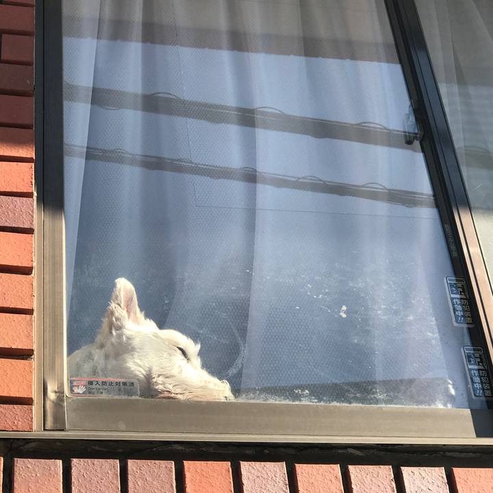 4c8360f5 12ed 4921 b74a 2007a9b6d1a1 1580354499123