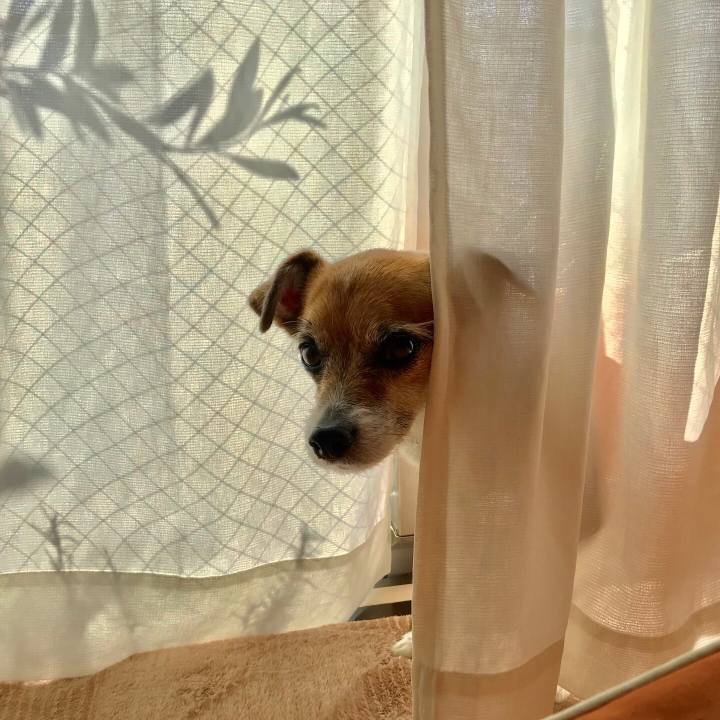 4c83beea f015 43b4 9e34 a2674b3a8173 1548993606528