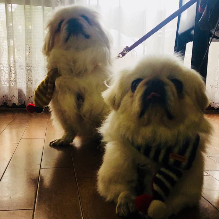 4c83e318 7e58 476a a566 0b50cce9e15d 1549186670051