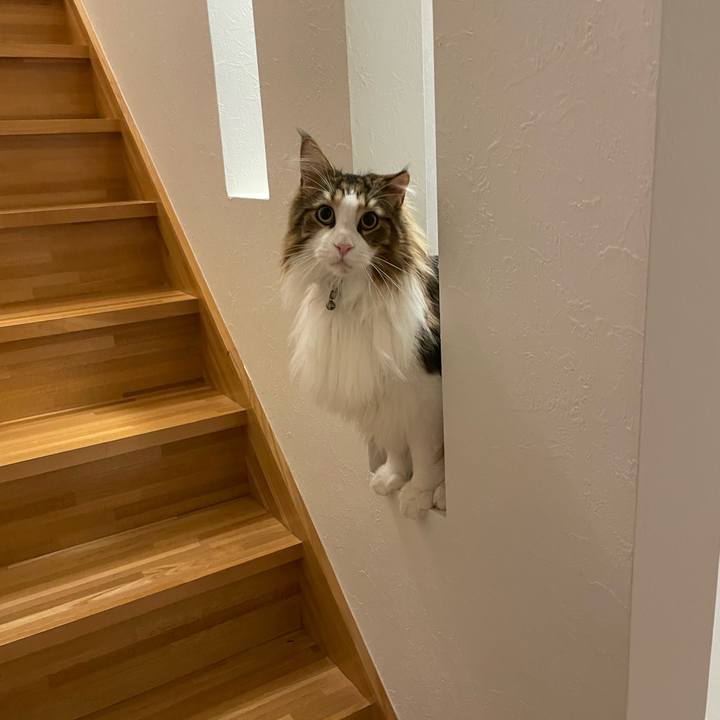 4c83e7aa 4a84 4978 9c3c f0fd3b393e15 1679342726592