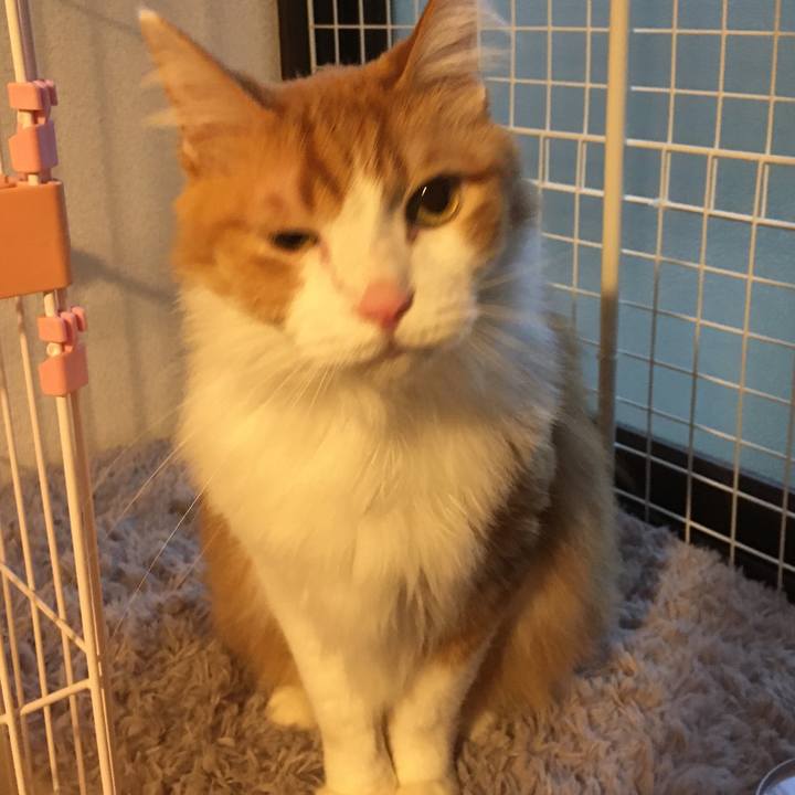 4c83f580 73cb 4657 b41e 7d80a9be1609 1577745910468