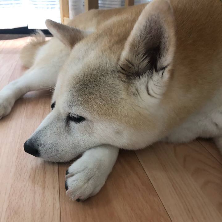 4c83fa68 6e2f 4797 828d ea25a95aa519 1565091166437