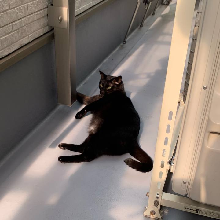 4c8400e0 cce5 4abd 9d8c c0e23fc6de57 1667446717516