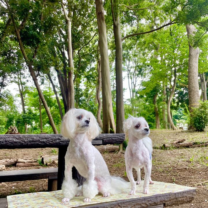 4c845067 810d 445b a420 3d206c548827 1626418504021