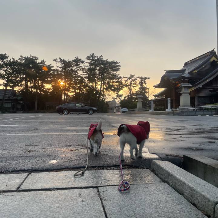 4c846fcd 3d82 4d7c af3f 214b81b13e6d 1737586942291