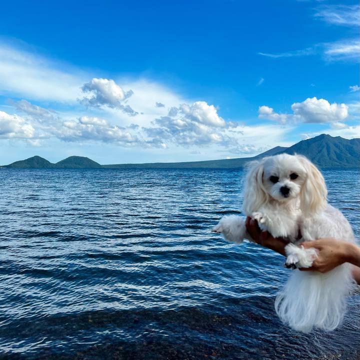 4c84a8ed 1f31 4074 b7ee 28dd730a4c76 1661669819107