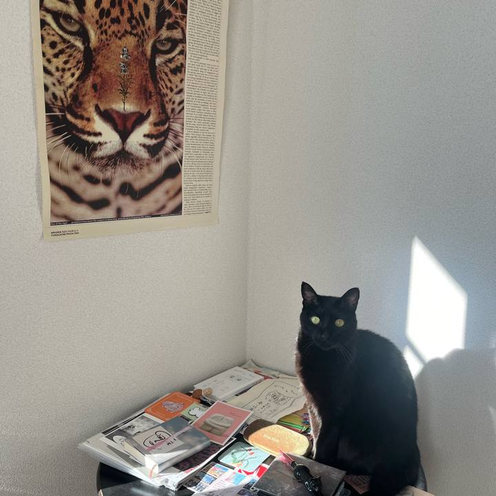 4c84bf5f a731 46af a955 a4ddce5f1bb0 1733018410070