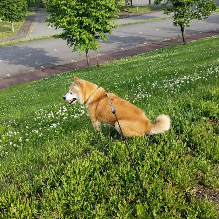 4c84db60 46b7 48a6 bfec 00bb7491fe31 1685605782051