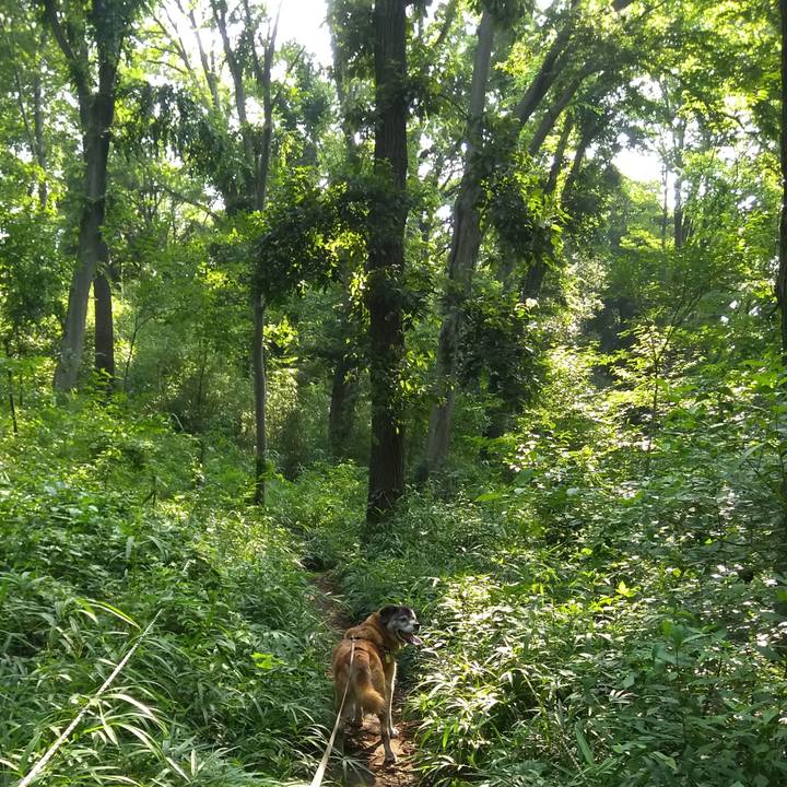 4c84e975 f95b 4f13 8888 2c3b03304cb4 1564530095327