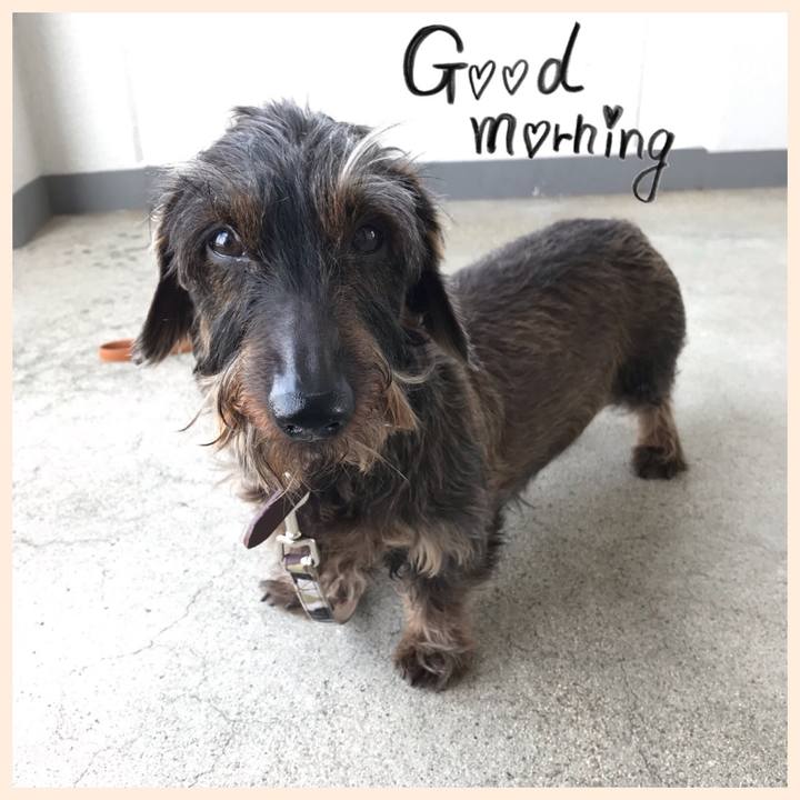 4c85260f 12e7 444b 9aa5 c8167e48c8b2 1550969943815