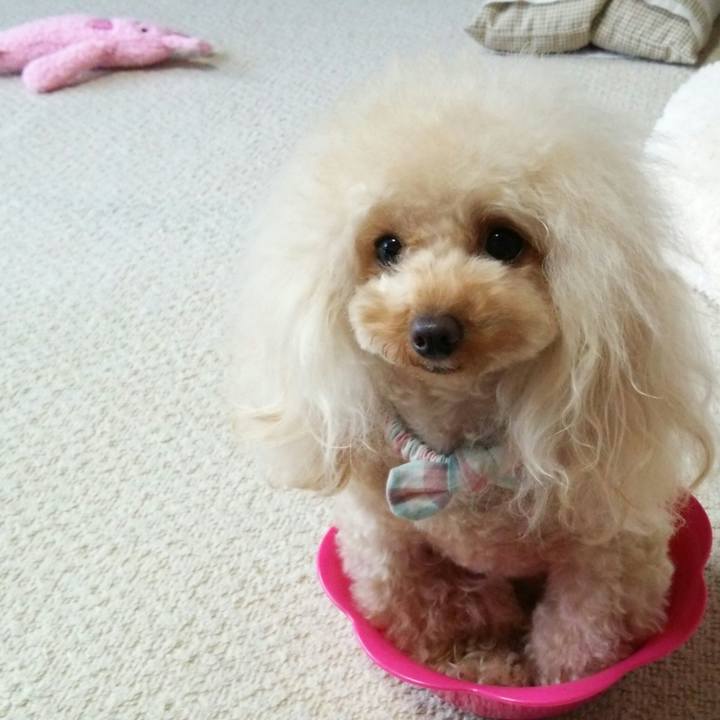 4c853694 196a 4dc7 aaa8 557630a279aa 1515802856736