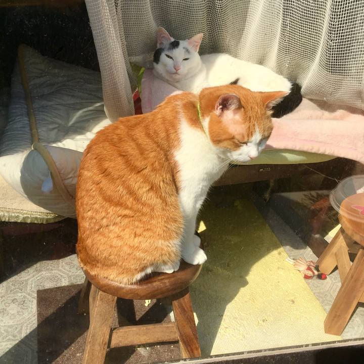 4c85525a b4e1 4878 96bb 2c338328272d 1557351513889