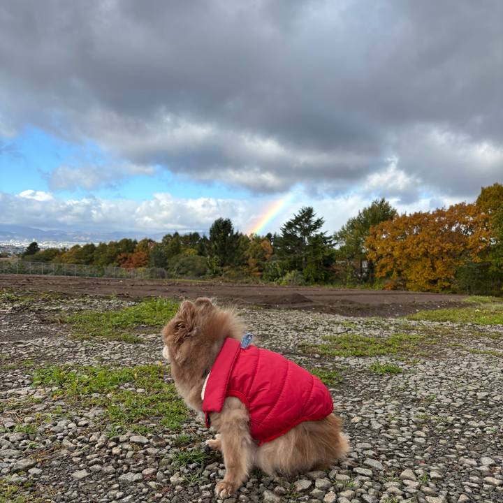 4c8552a6 2d46 42c8 9a47 45da3faafe40 1762049140398