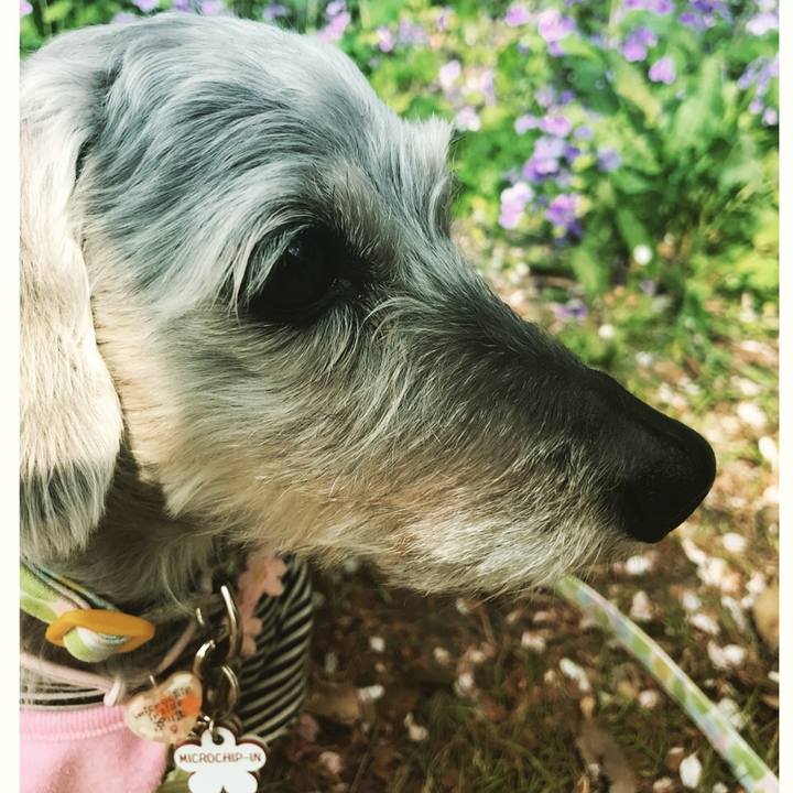 4c8583df cb61 4edc a1df 883eeaa3fc57 1522740340658