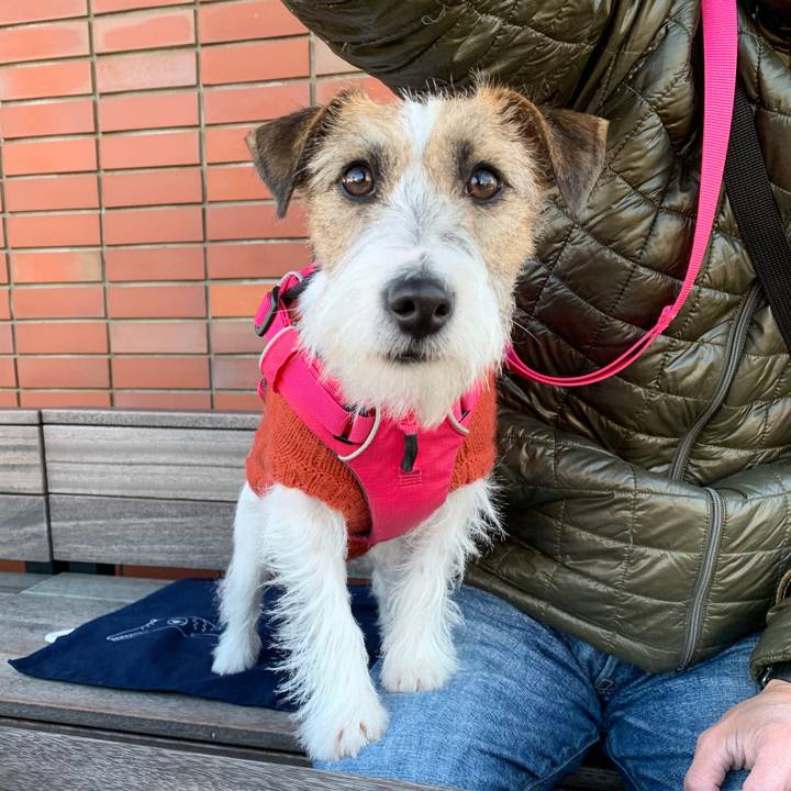 4c8592aa 1133 49ce 943c be0a60f548ce 1578218872145