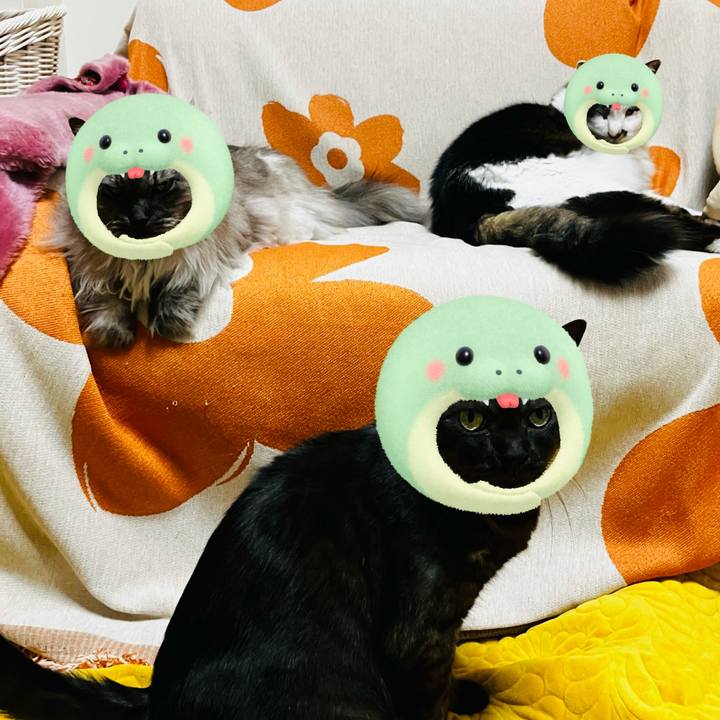 4c859937 6f23 4a67 98f7 32e50d7fa3bc 1735878394186