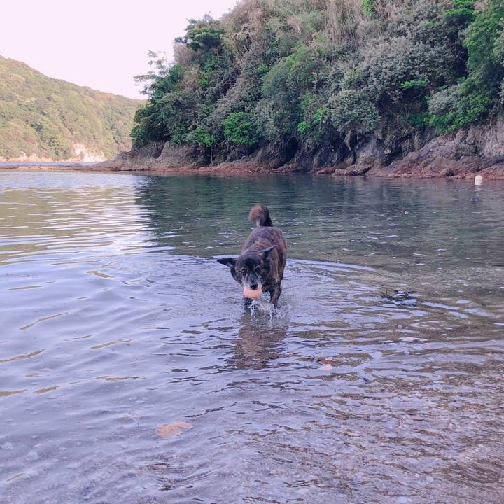 4c85e1e5 5c08 4e99 8f44 b581f08662b6 1623063468827