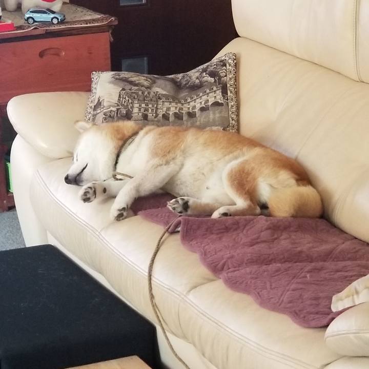 4c860702 49c3 45b7 9a89 cf4083d754d1 1693875739049