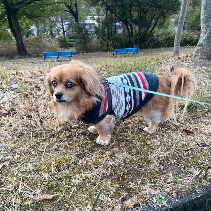 4c8614b1 7112 4ae8 afa3 32bd7ea287aa 1608594414149