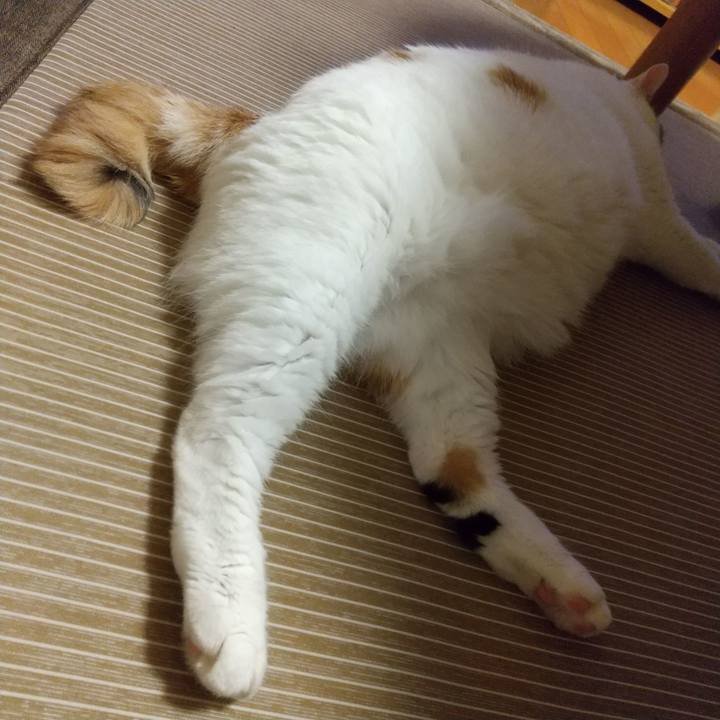 4c866b86 983e 4837 b01c 74f309cf1326 1599221648108