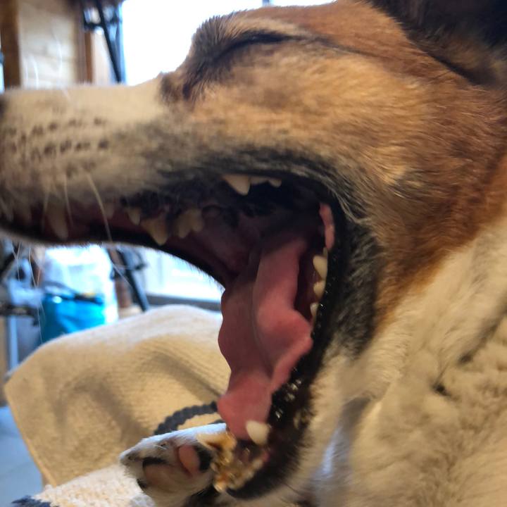 4c8671f2 b778 4fa1 b0af d5d7e4fecd63 1524624244009