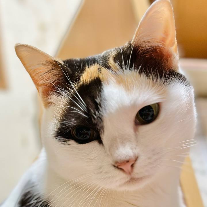 4c867be3 924a 40d2 a6e7 3024dd11ce82 1670033899328