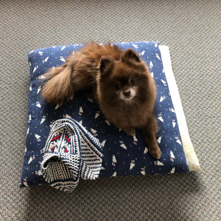 4c86b89e d4c7 469a a21e 6048715bfd13 1542930141465