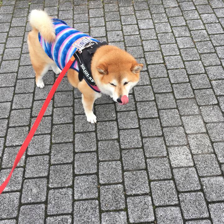 4c86cd8a cd57 4eac 9419 55147eab6d49 1593938520016