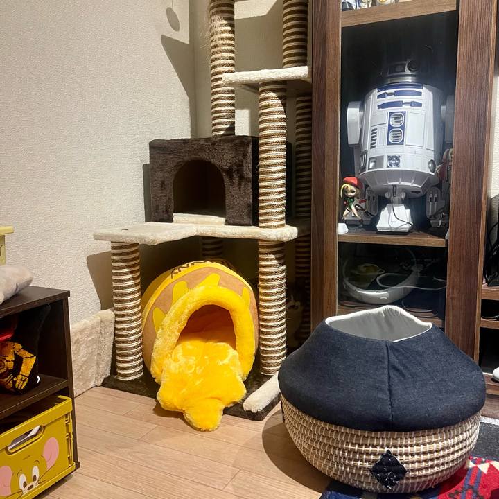 4c86e108 c5f4 4a92 a468 69f035e48ca8 1679484654941