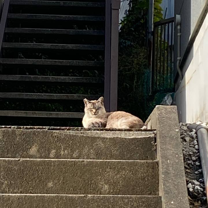 4c870626 87af 4310 b786 6192f00728dc 1767143905040