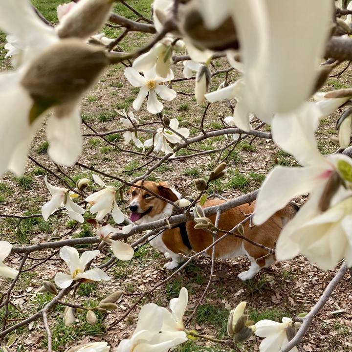 4c870d47 46d6 4c8a a44b 551958944e53 1678622504729