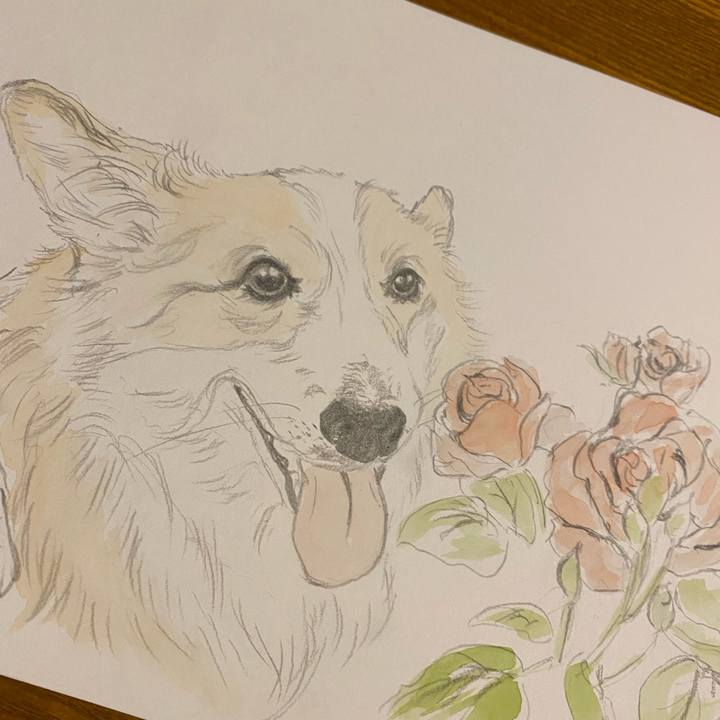 4c874323 960a 47bd b604 448f0f8d2ff6 1656599569555