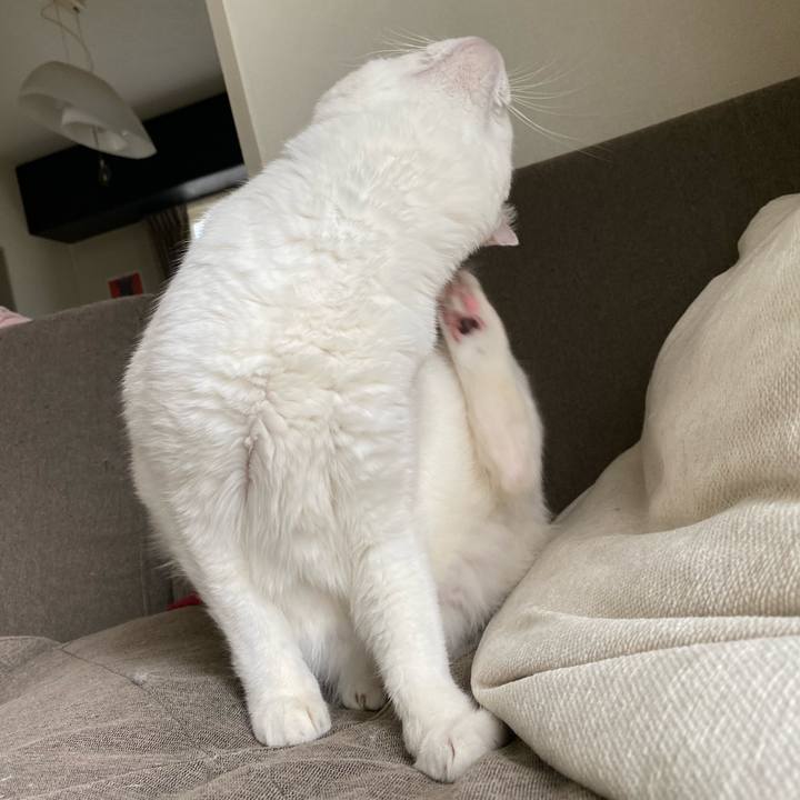 4c877870 5e1e 4e9c 89be 2b18fc1c86ab 1664231532301