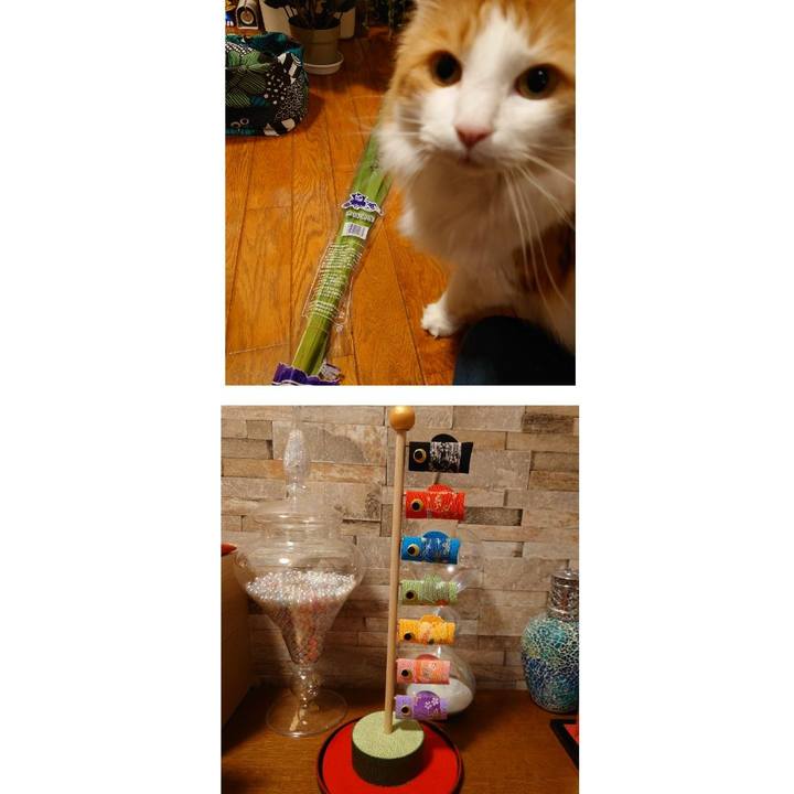 4c8781da 27e8 4b5f bd20 d8d5118ae6ad 1620213279040