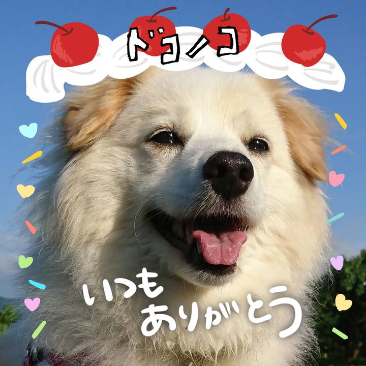 4c87a5b1 0d34 4cb0 a8b1 28acbe8a6039 1685970417210