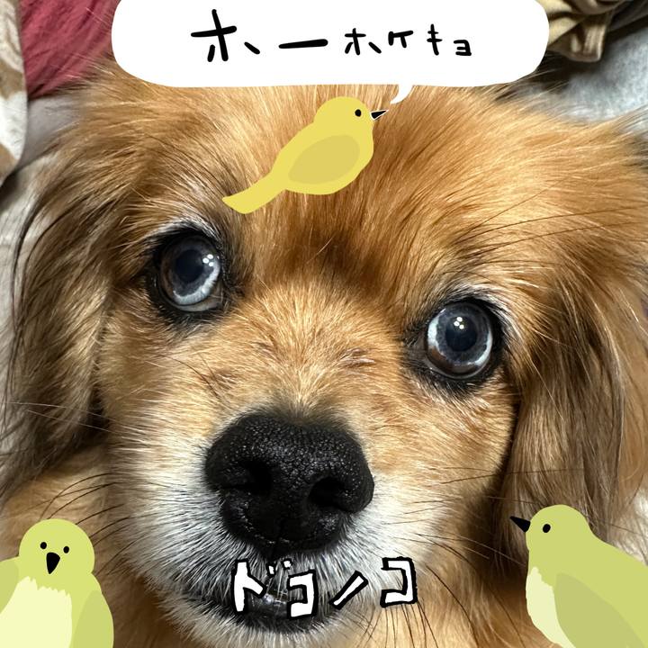 4c88157b 3962 47d0 b8e4 da327ee6e108 1711142785363